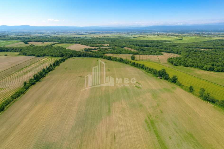 For Sale Land Telavi Kakheti