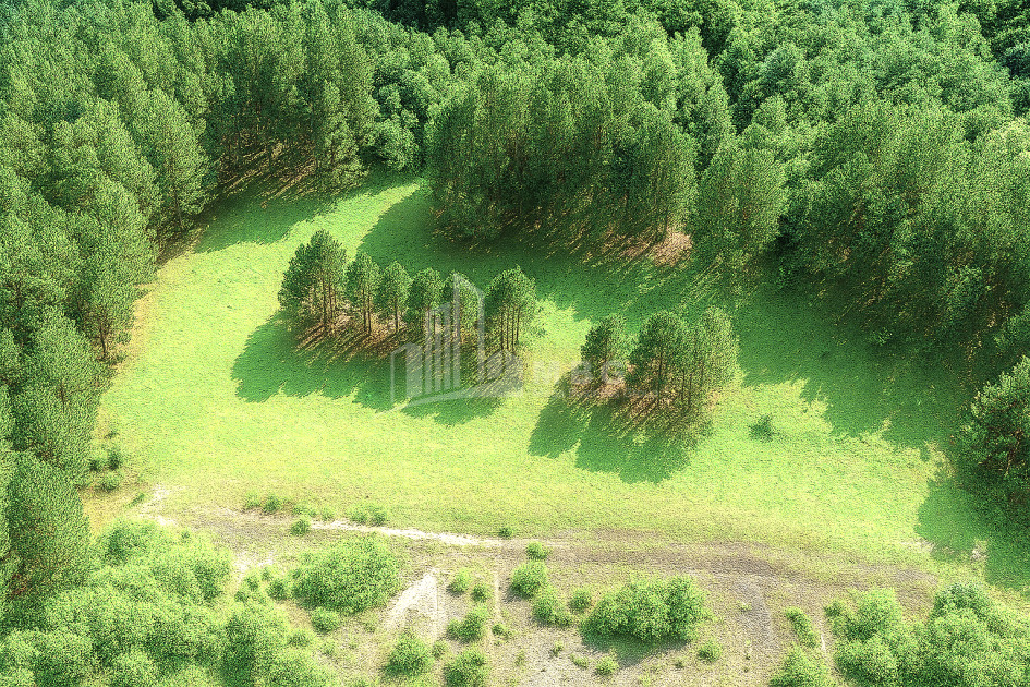 For Sale Land Daba Surami Khashuri Shida Kartli