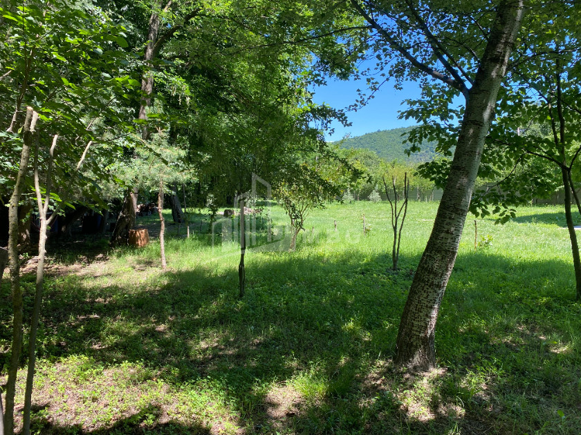 იყიდება ბიზნესი კომერციული ფართი თელავი კახეთი