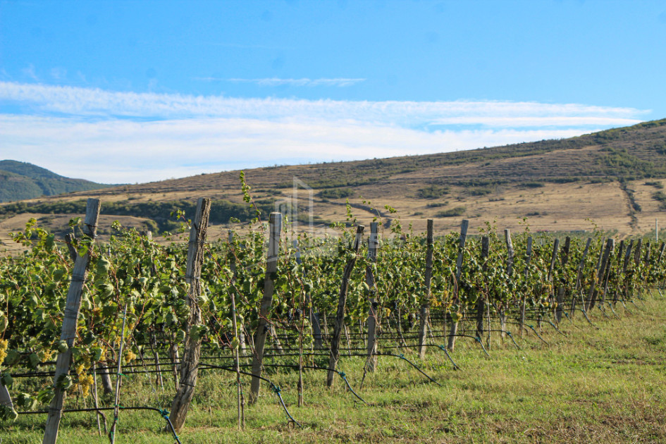 იყიდება კომერციული ფართი დოესი კასპი შიდა ქართლი