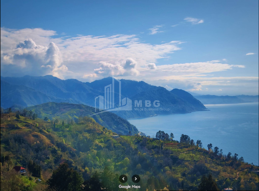 იყიდება კომერციული - არასასოფლო მიწის ნაკვეთი სარფში, ხელვაჩაური