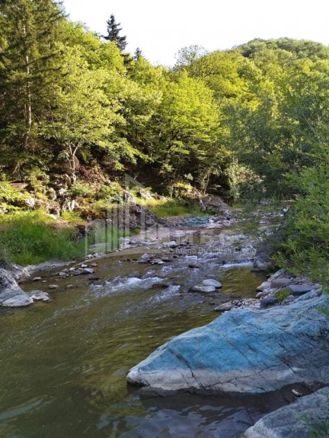 For Sale Country Land, in Tetritskaro