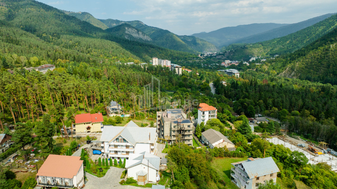 For Sale Commercial Likani Borjomi Samtskhe   Javakheti