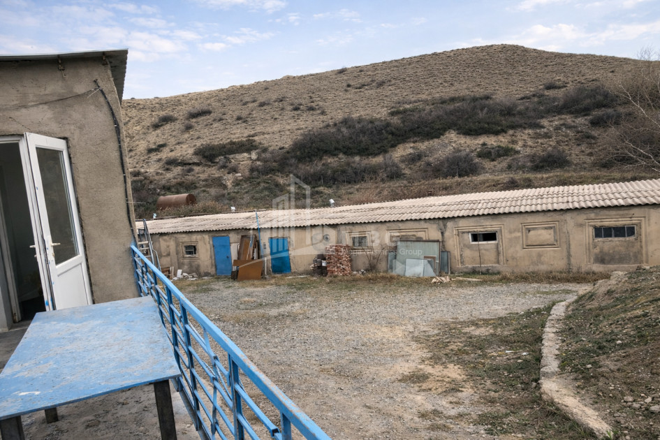 Продается Озеро - Рыболовное хозяйство Земля В Деревния Гачиани, Гардабани