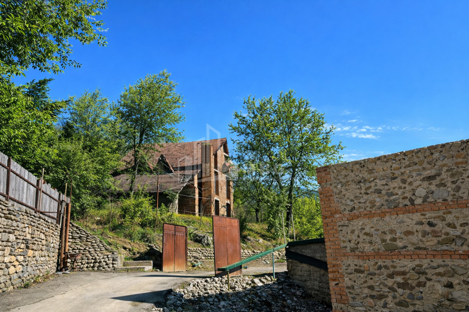 For Sale Old building House - Villa In Sagarejo