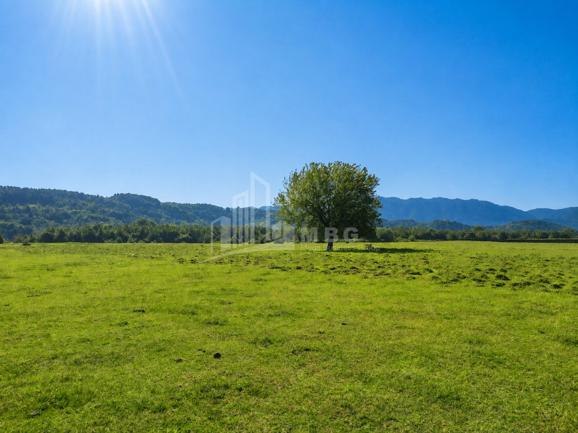 For Sale Orchards Land In Abasha