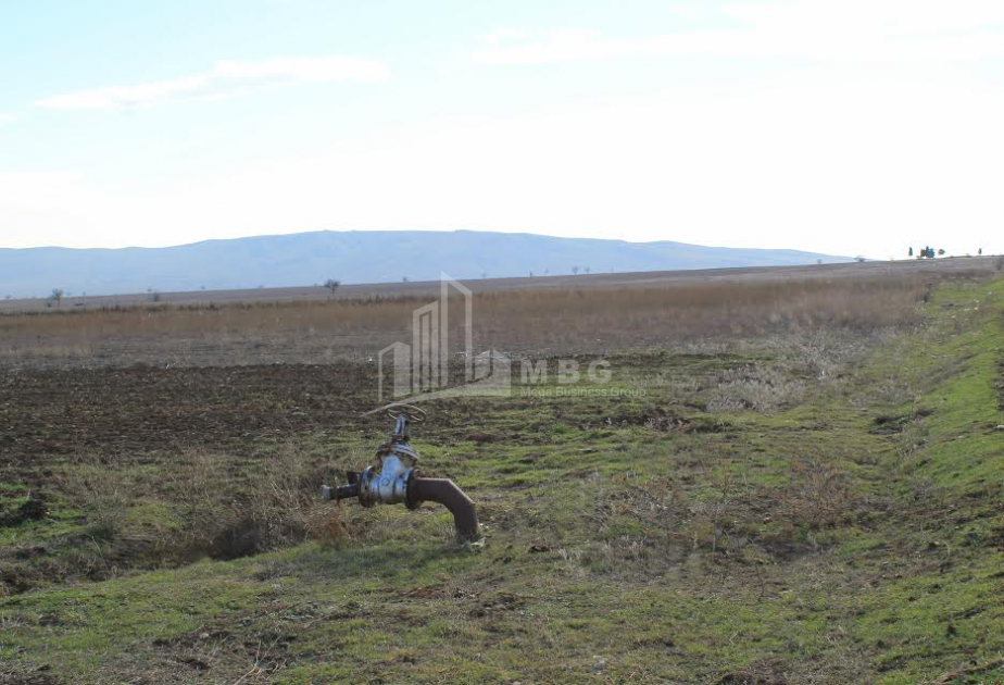 For Sale Orchards Land, in Kvemo Teleti