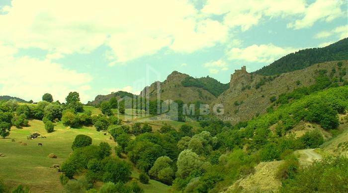 იყიდება სააგარაკე მიწის ნაკვეთი, ბორჯომი