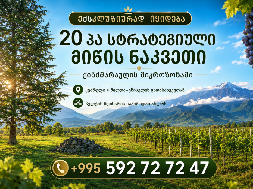 For Sale Vineyard - Chateau Land In Eniseli, Kvareli