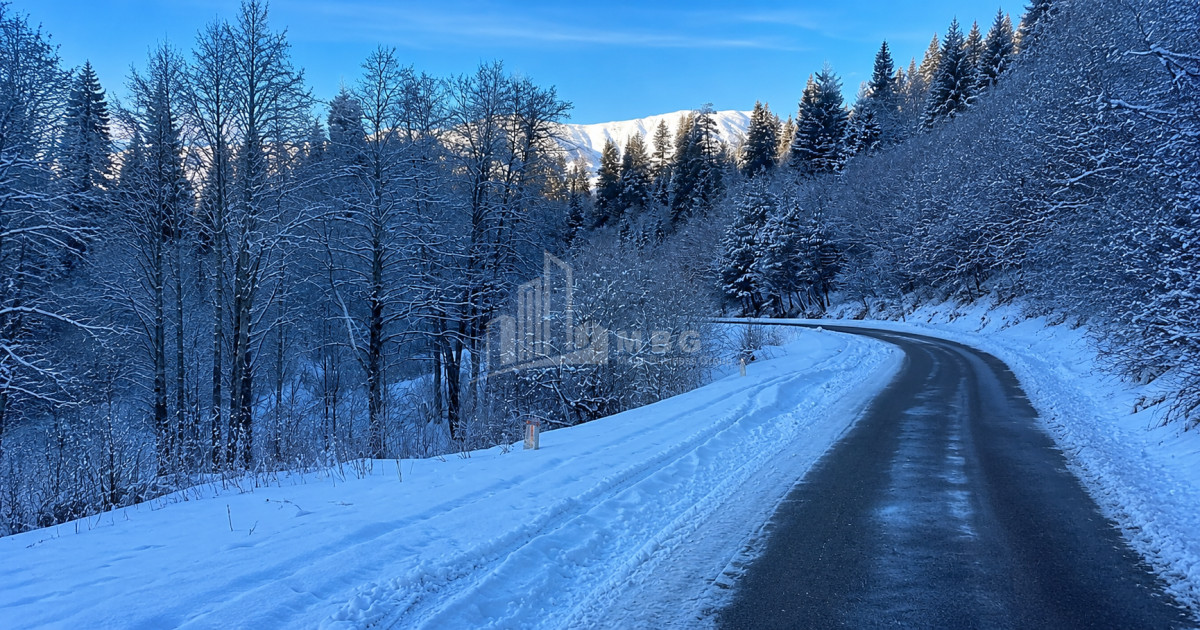 For Sale Country Land In Andesite, Borjomi