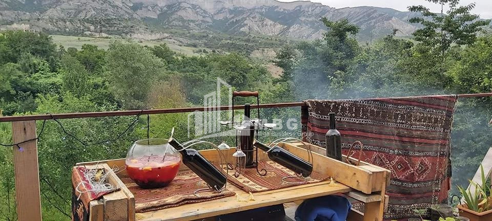 For Sale House Villa Dzegvi Mtskheta Mtskheta   Mtianeti