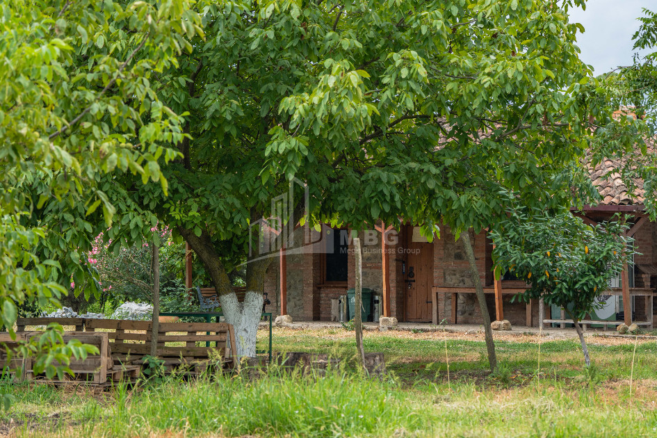 For Sale Land Kakheti