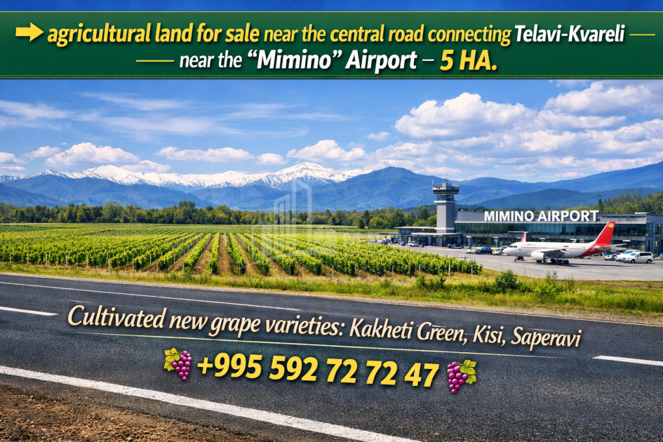 იყიდება სავენახე - საშატოე მიწის ნაკვეთი თელავში