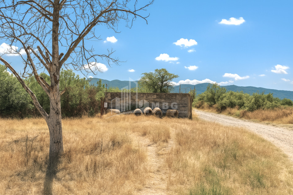 For Sale Land Telatgori Kaspi Shida Kartli