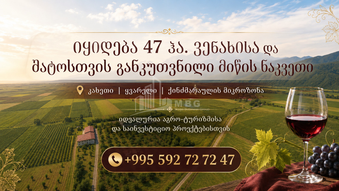 For Sale Vineyard - Chateau Land In Kvareli
