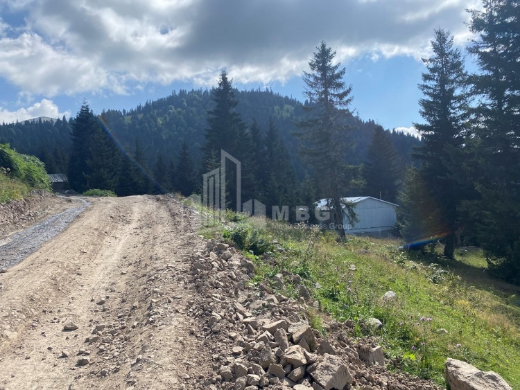 For Sale Country Land, in Khulo