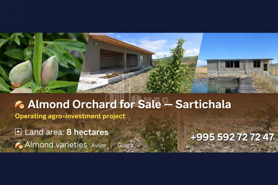 For Sale Orchards Land In Sartichala, Gardabani