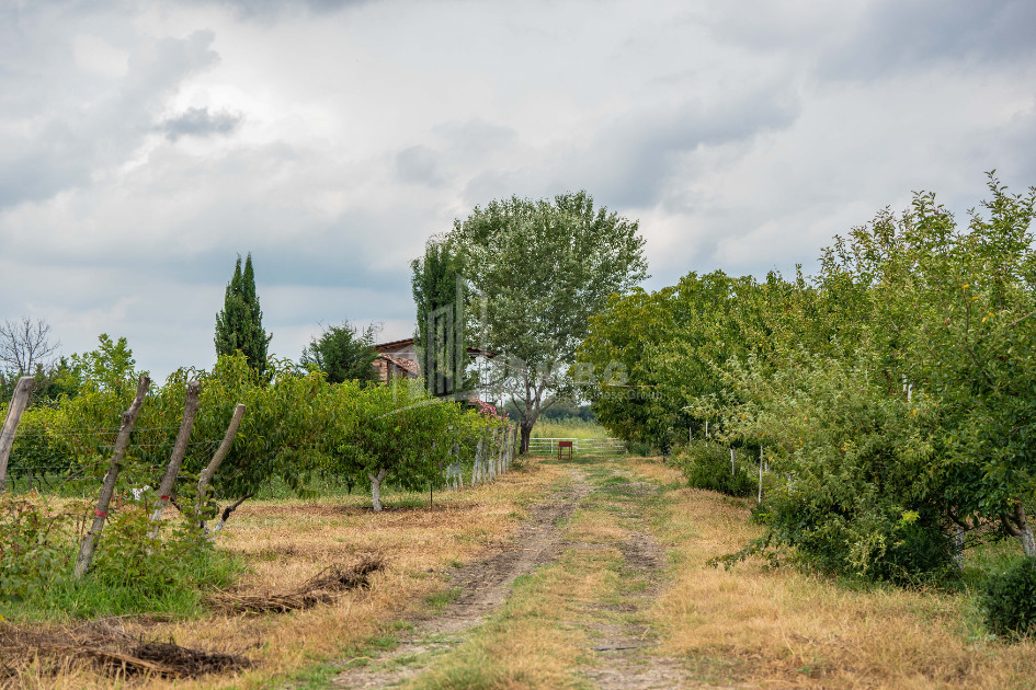 For Sale Land Kakheti