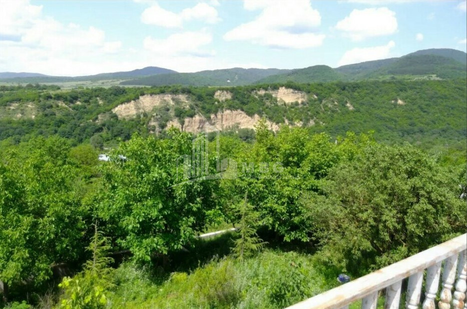 For Sale House Villa Kotoraantkari Mtskheta Mtskheta   Mtianeti