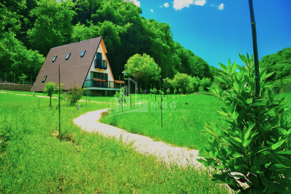 For Sale House Villa Tskhvarichamia Mtskheta Mtskheta   Mtianeti