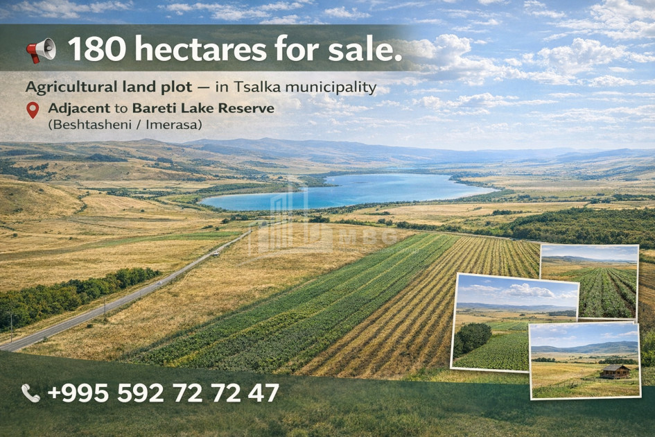 For Sale Land Tsalka Kvemo Kartli