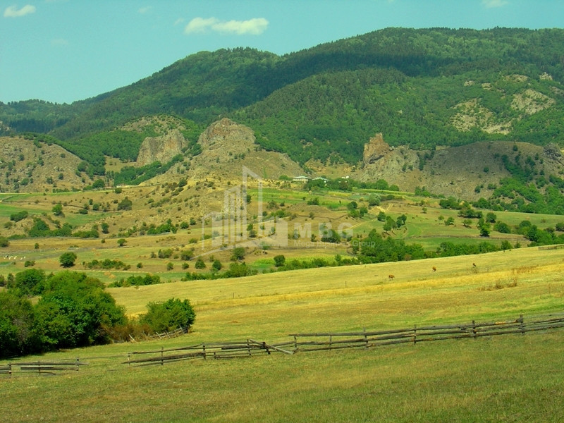 იყიდება სააგარაკე მიწის ნაკვეთი, ბორჯომი