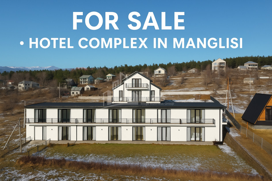For Sale Commercial Manglisi Tetritskaro Kvemo Kartli