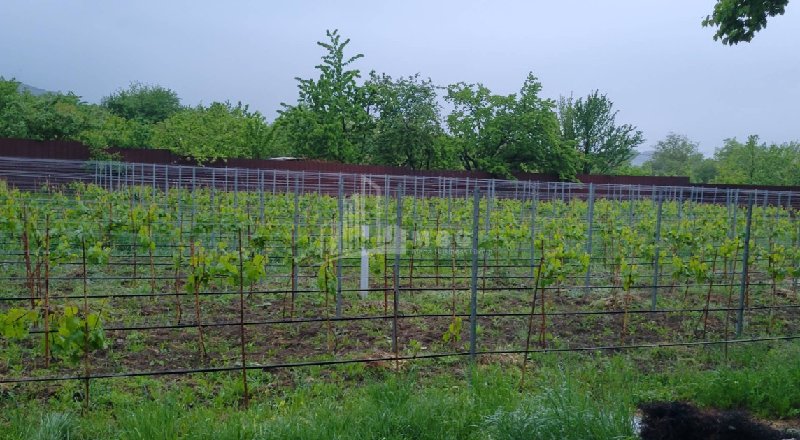 იყიდება კომერციული ფართი ძეგვი მცხეთა მცხეთა   მთიანეთი