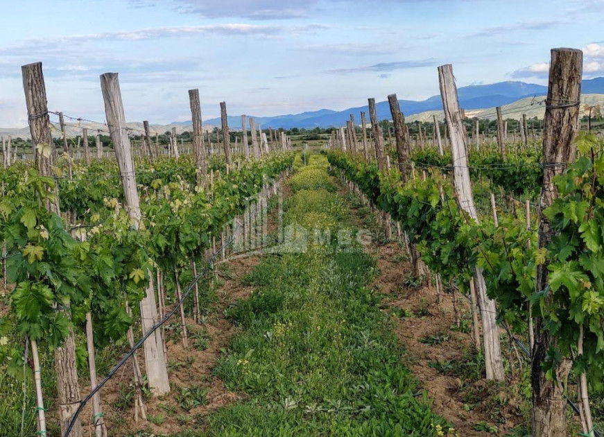 იყიდება კომერციული ფართი დოესი კასპი შიდა ქართლი