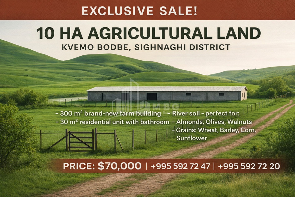 იყიდება საძოვრები - საფერმერო მიწის ნაკვეთი ქვემო ბოდბეში, სიღნაღი