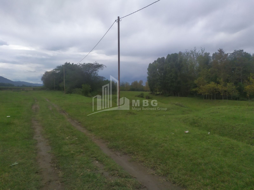For Sale Land, Abasha Municipality, Municipalities of Samegreli   Upper Svaneti