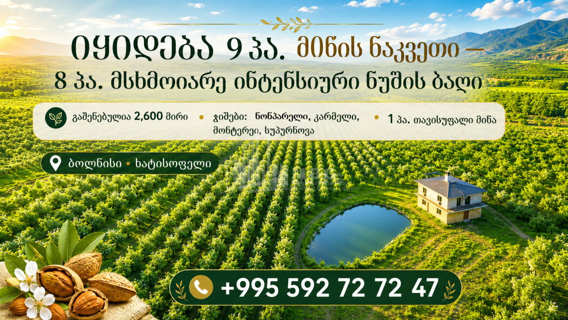 For Sale Orchards Land In Bolnisi