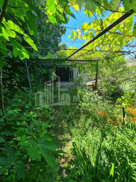 For Sale House Villa Dzegvi Mtskheta Mtskheta   Mtianeti