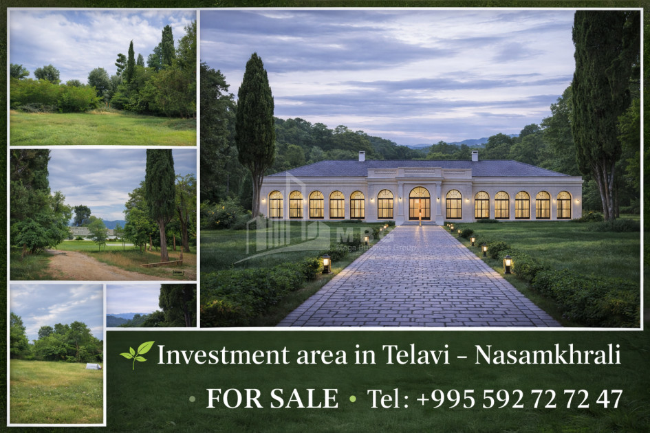 იყიდება კომერციული ფართი თელავი კახეთი