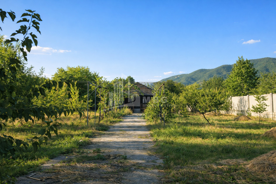 For Sale Old building House - Villa In the Village Choporti, Dusheti
