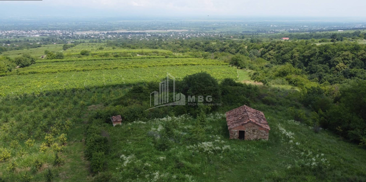 იყიდება მიწის ნაკვეთი ზეგაანი გურჯაანი კახეთი