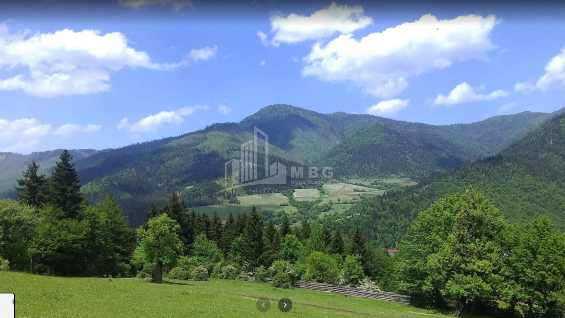 იყიდება სააგარაკე მიწის ნაკვეთი, მზეთამზე