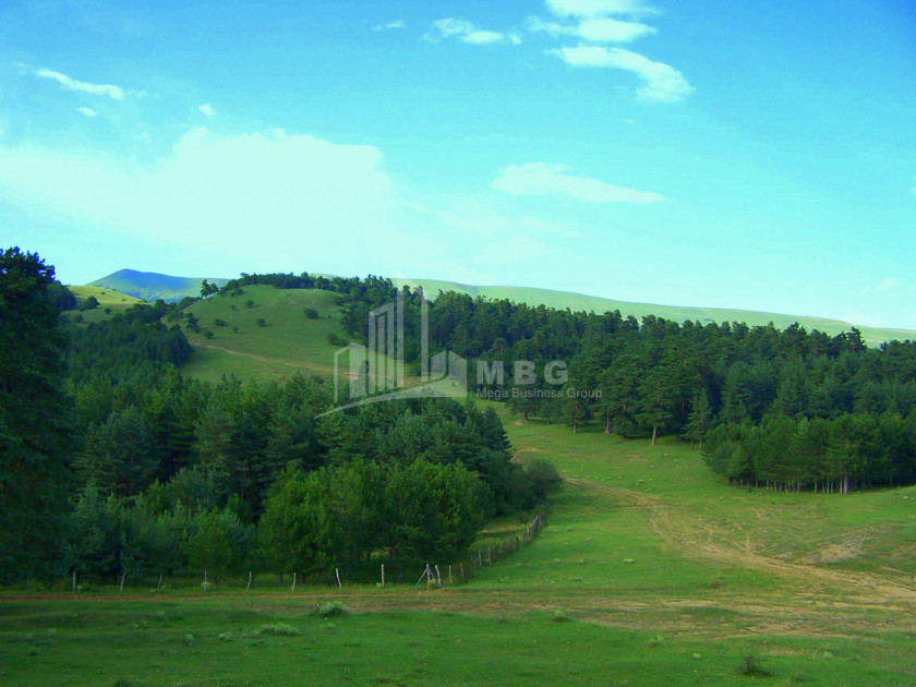 For Sale Country Land, in Manglisi