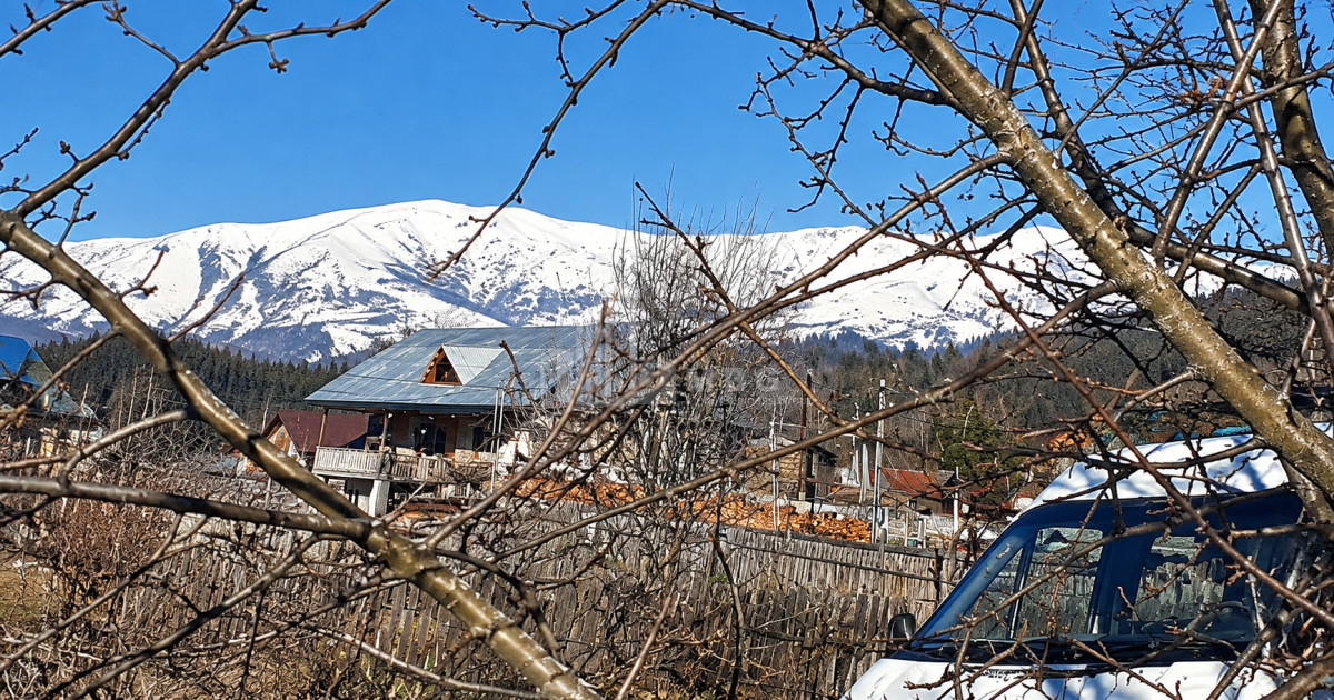 For Sale Country Land In Andesite, Borjomi
