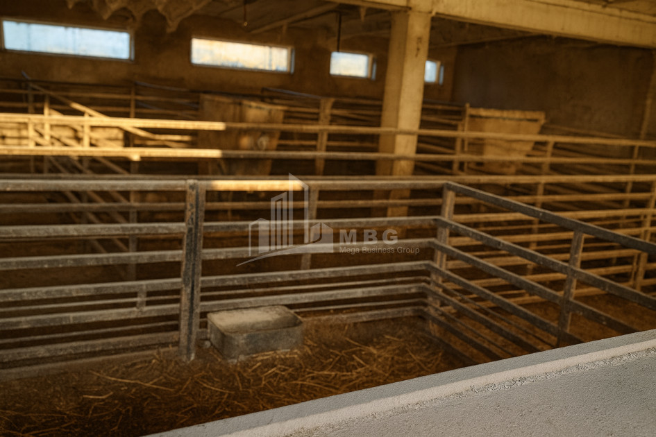 Продается Земля Зинобиани Кварели Кахети