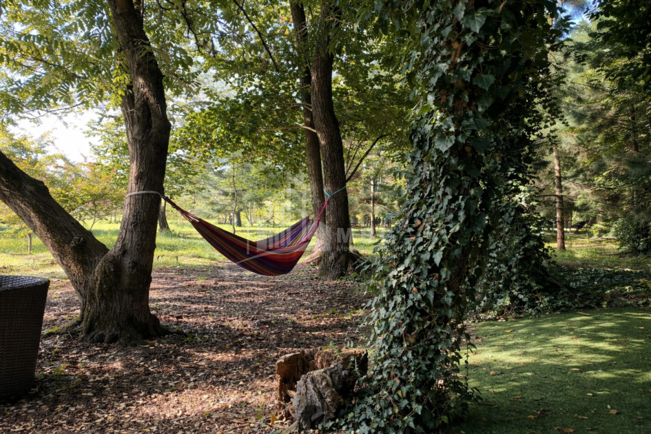 Business for sale Commercial Telavi Kakheti