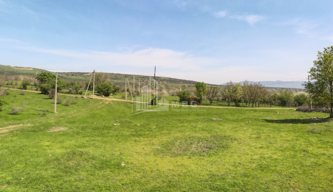 For Sale Land Lisi lake Saburtalo Saburtalo District Tbilisi