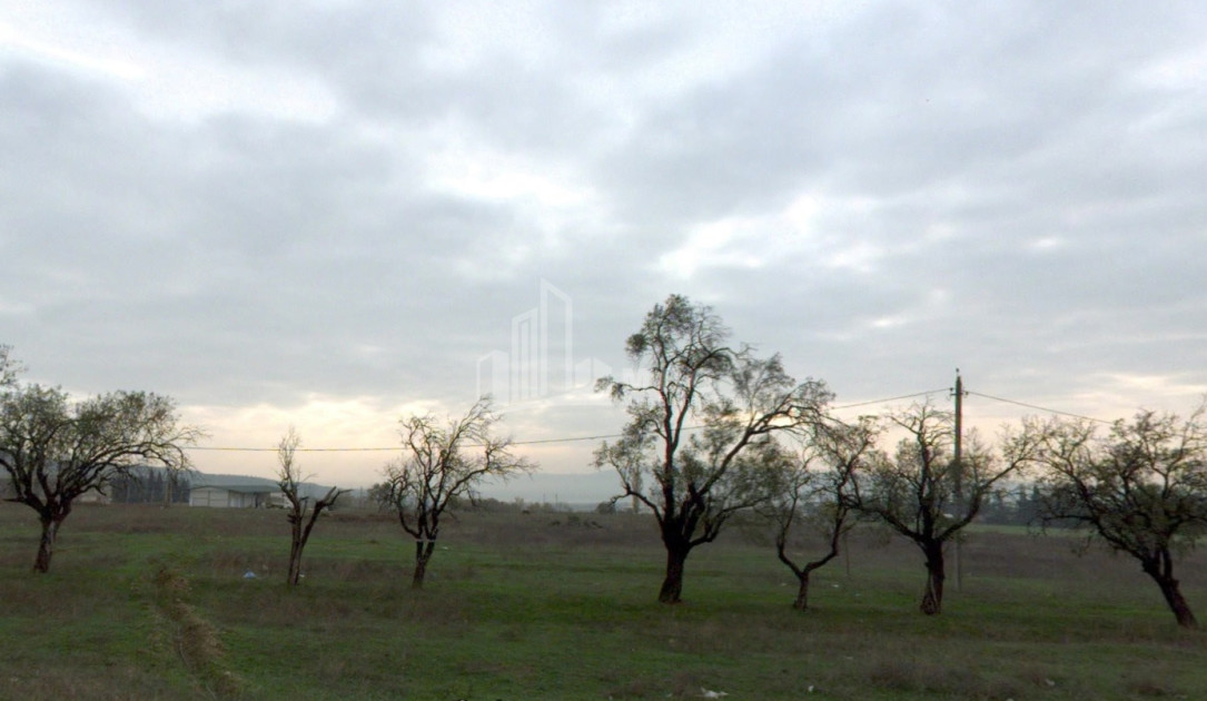 For Sale Land Kumisi Gardabani Kvemo Kartli