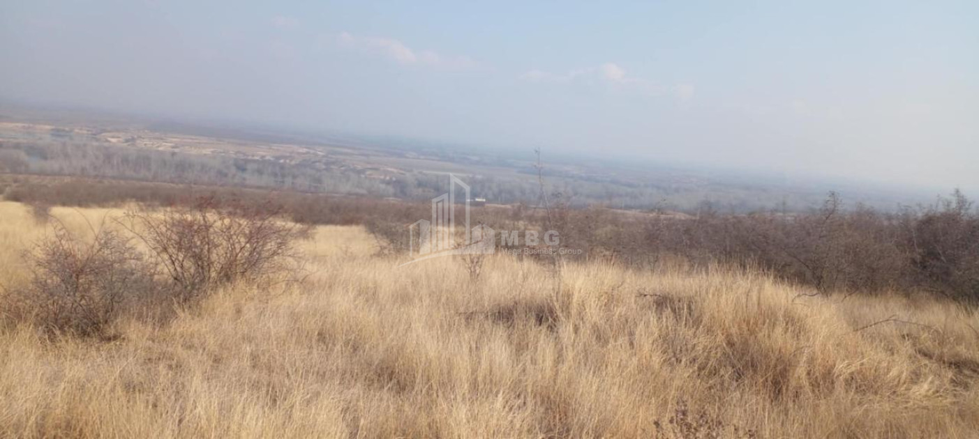 For Sale Land Samtatskaro Dedoplistskaro Kakheti