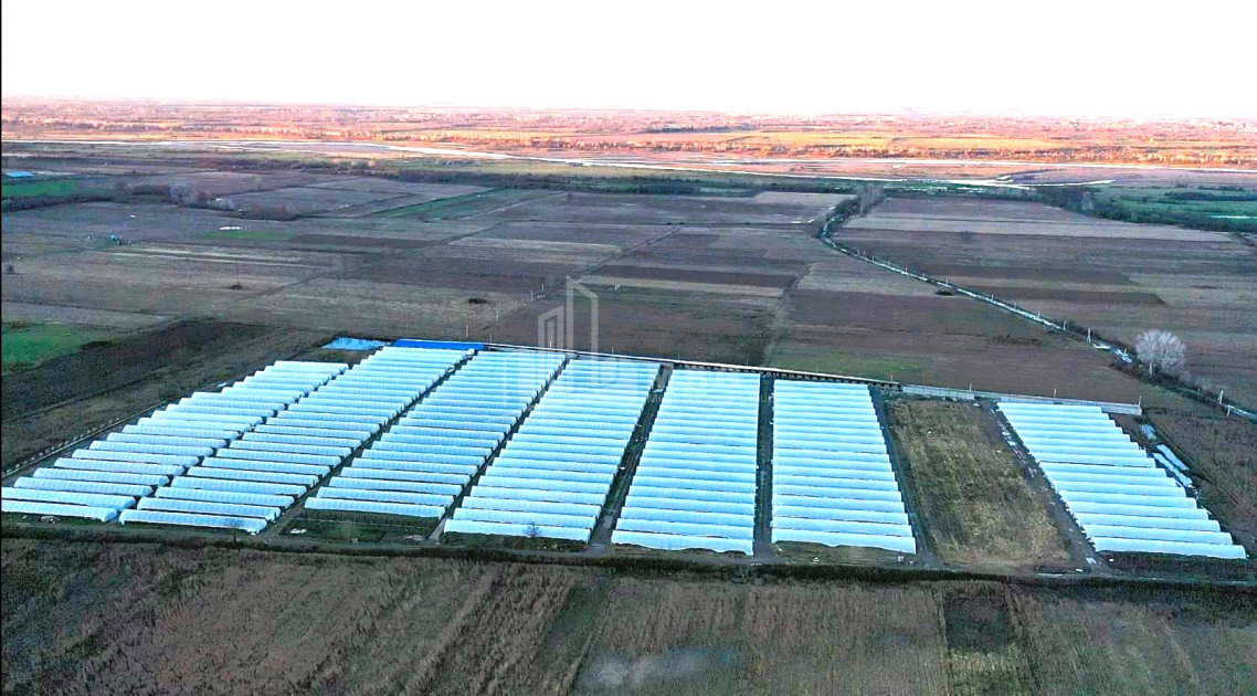 For Sale Land Vani Imereti