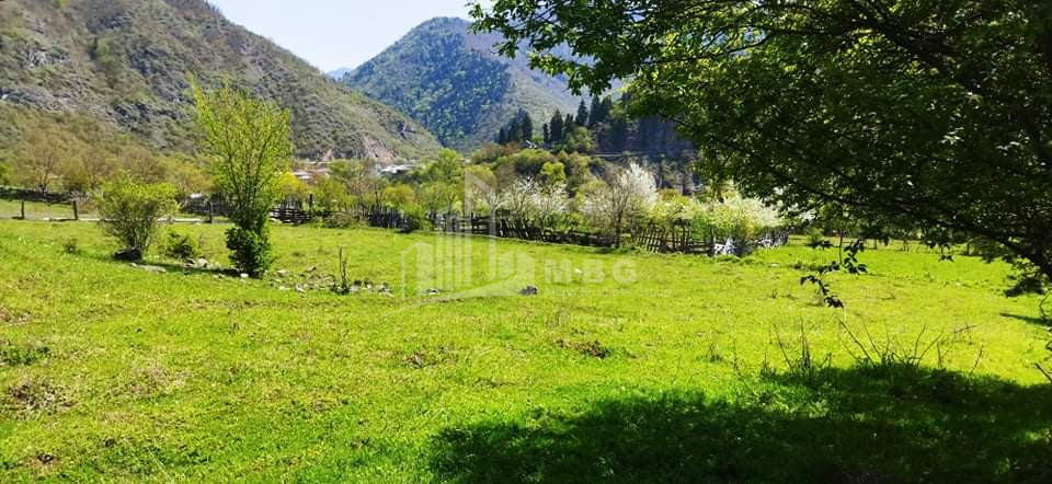 იყიდება სააგარაკე მიწის ნაკვეთი, ბორჯომი