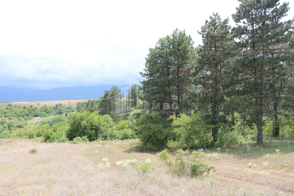 For Sale Country Land, in Daba Surami