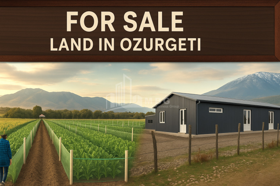 For Sale Land Municipalities of Guria