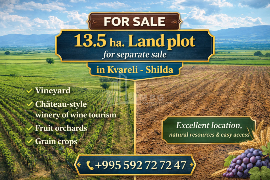 იყიდება მიწის ნაკვეთი, ყვარელი, კახეთი