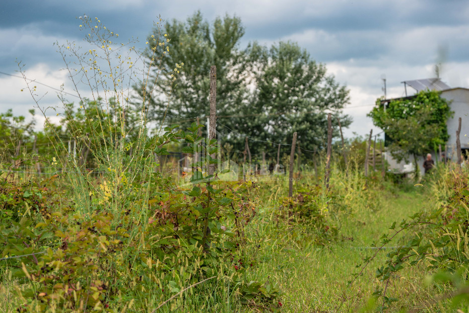 For Sale Land Kakheti